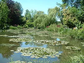 giverny