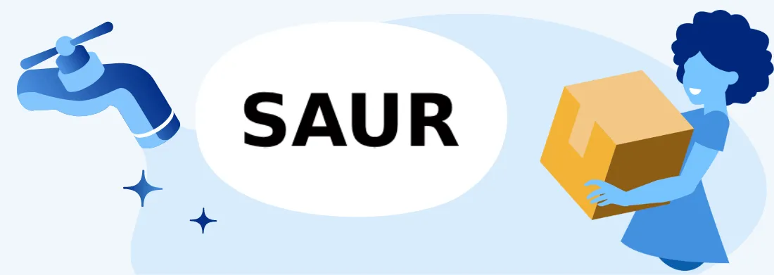 Déménagement Saur