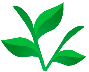 jardinage récupération d'eau