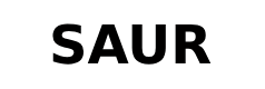 Logo Saur