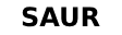 Logo saur