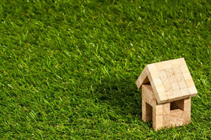 Quelles sont les différentes options d'assurance habitation présentées par Assuréo ?