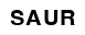 Saur