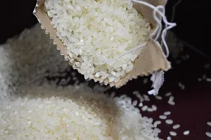Grains de riz pour absorber l'humidité d'un smartphone