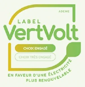 Logo VertVolt niveau 1