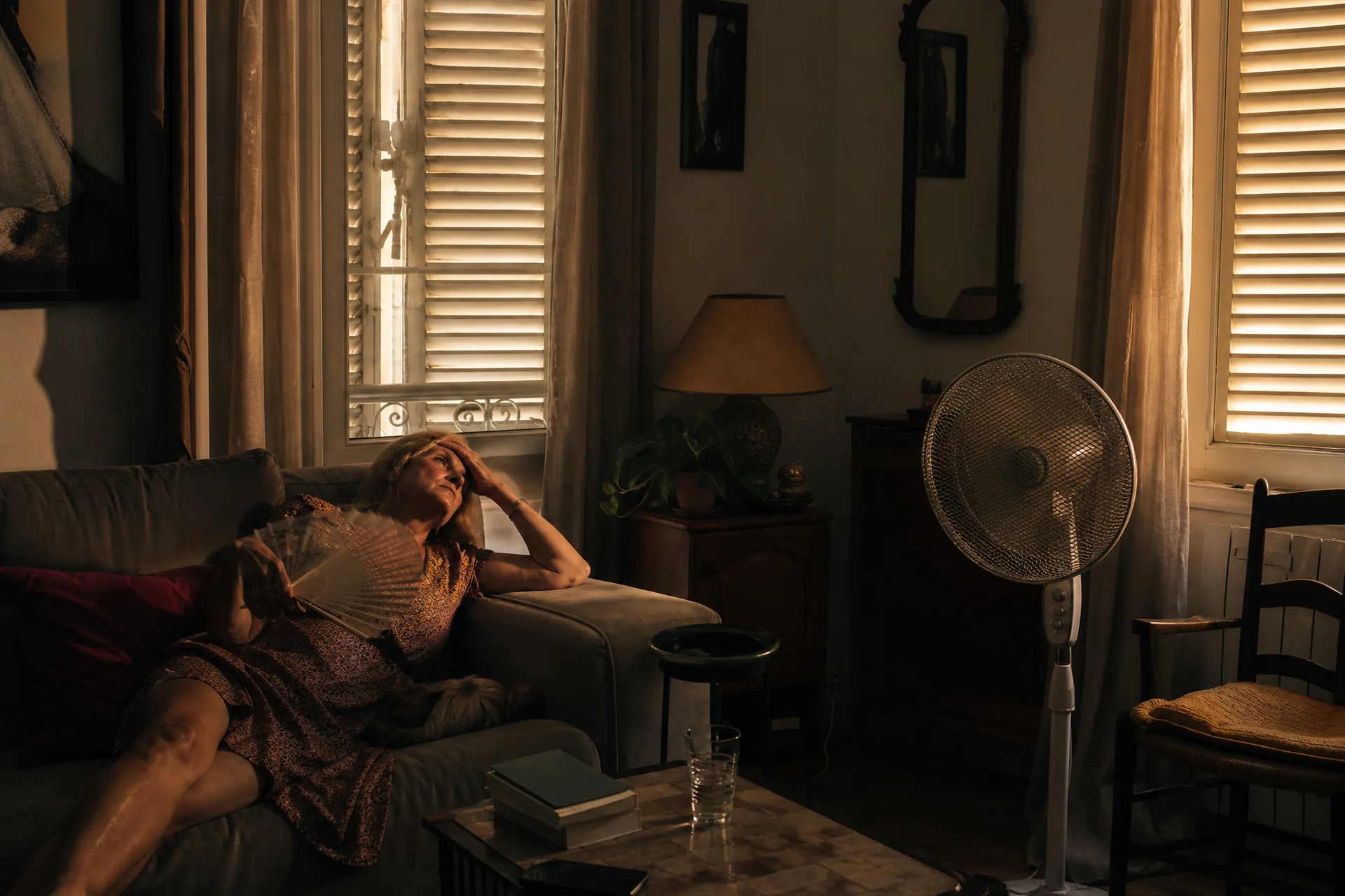 8 astuces pour préparer votre logement face à la canicule de juillet